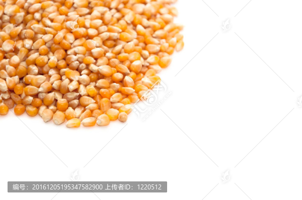 玉米粒