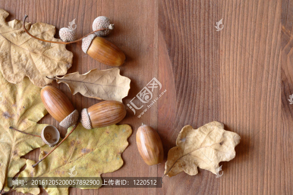 秋天的概念