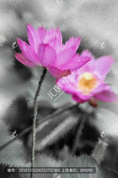 概念荷花