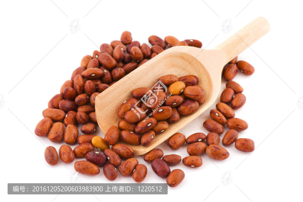 斑豆