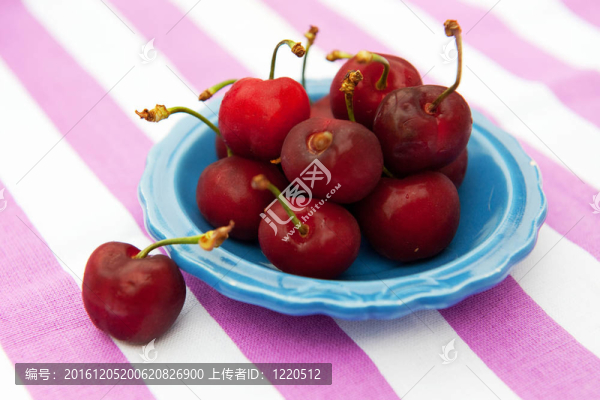 新鮮的櫻桃戶外