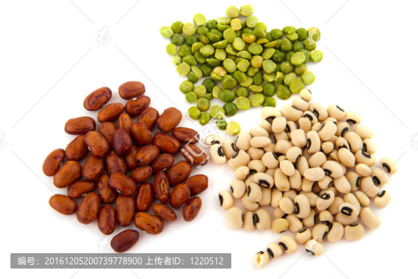 各種豆類