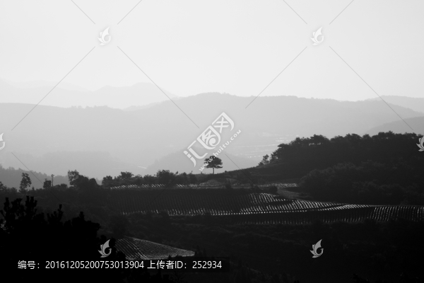 水墨田園