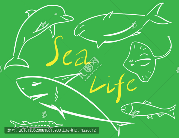 海洋魚(yú)類(lèi)