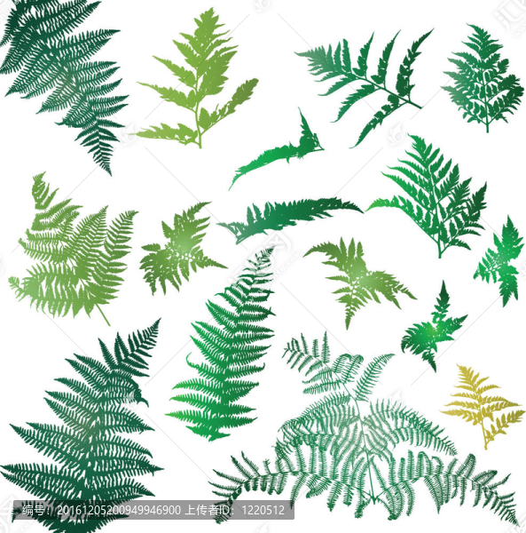 Fern離開(kāi)