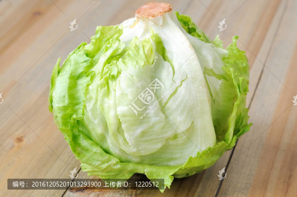 綠色卷心菜