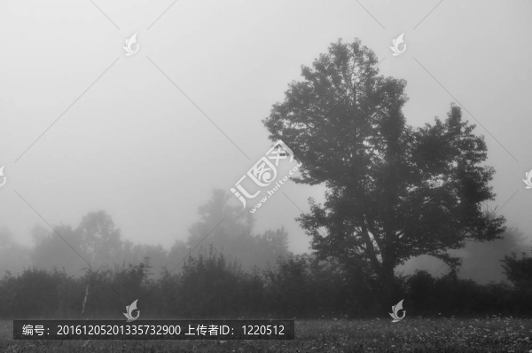 黑白霧