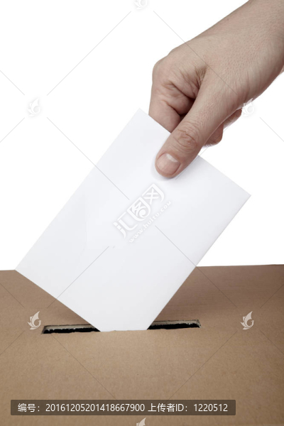 選票投票框政治選擇選舉