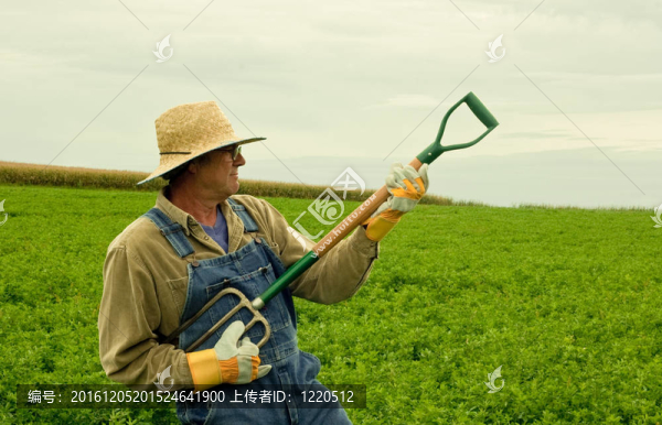 農(nóng)民在他的干草領(lǐng)域玩空氣吉他