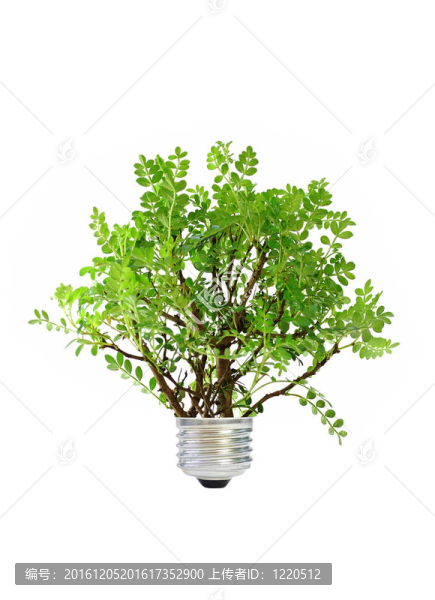 綠色能源
