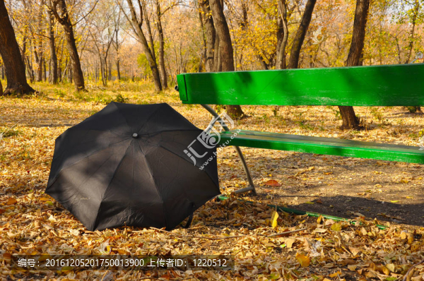公園里的雨傘