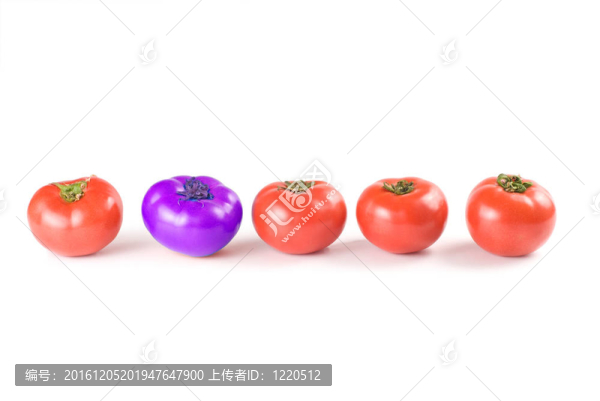 不同于其余的；西紅柿。