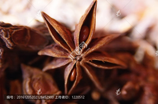 八角星號(hào)