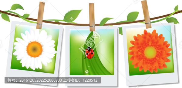 具有自然圖像的相框