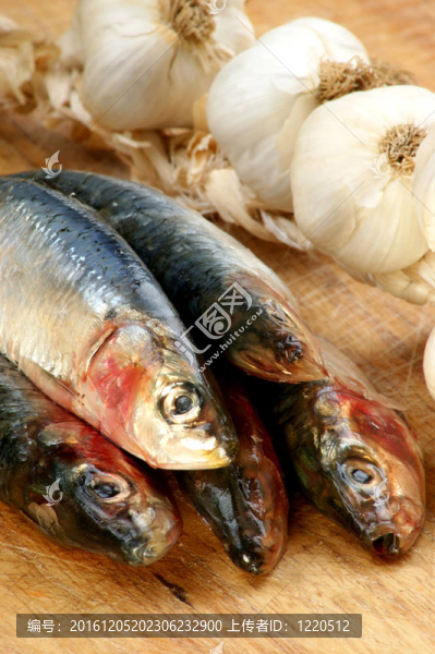 在一個(gè)木板的新鮮有機(jī)沙丁魚(yú)