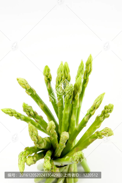 蘆筍