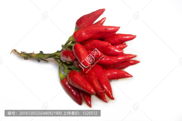 紅辣椒