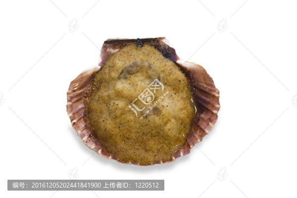 扇貝