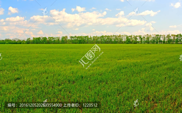 場