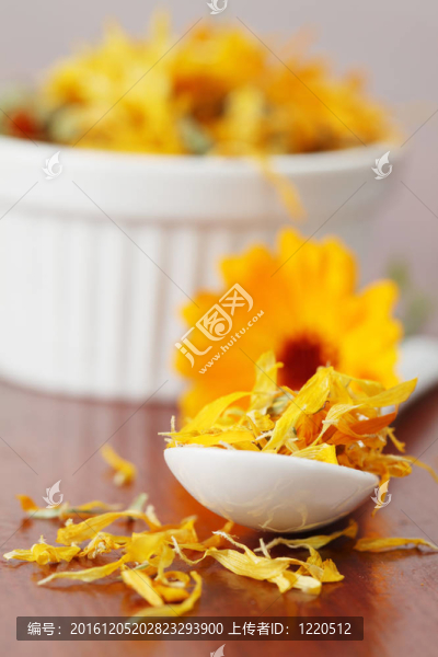 普洱茶的收藏-金盞花
