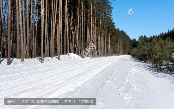 冬天的森林公路