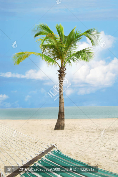 海灘場景
