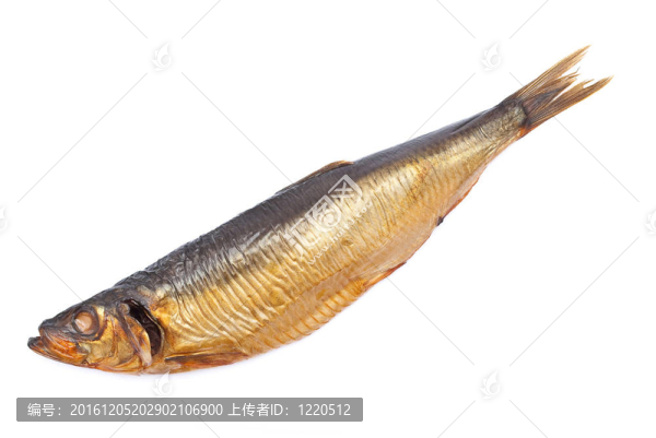 熏鯡魚
