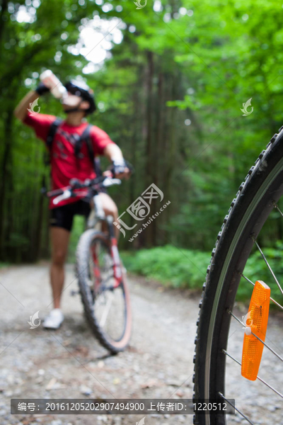 在一個(gè)森林的車友在森林自行車步道山地自行車（淺景深；在前景的自行車輪焦點(diǎn)）
