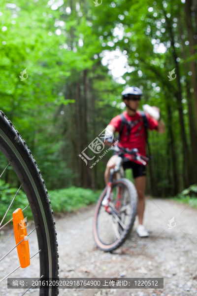 在一個森林的車友在森林自行車步道山地自行車（淺景深；在前景的自行車輪焦點）