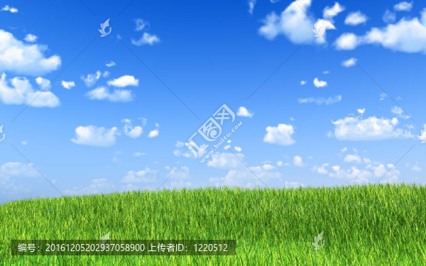 綠色的田野