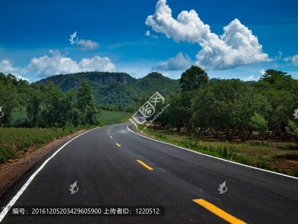 曲線道路