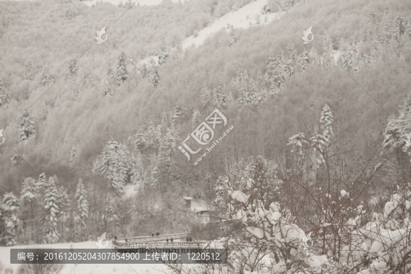 冬天下雪的時候在Abant湖