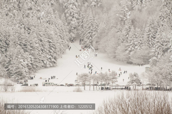 冬天下雪的時(shí)候在Abant湖