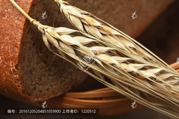 桌上的黑麥面包和玉米穗