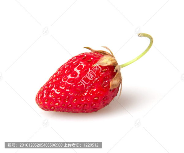 草莓