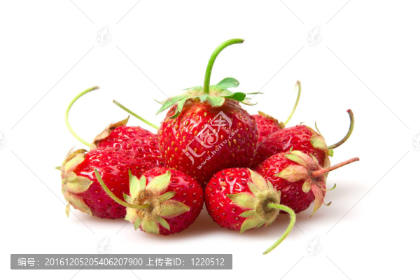 草莓