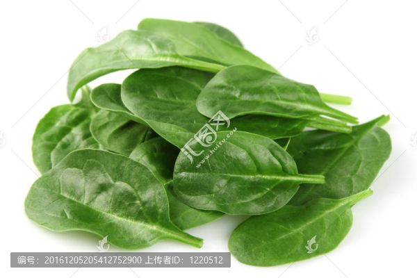 菠菜特寫(xiě)