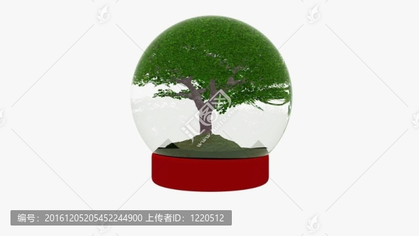 櫻桃樹雪球
