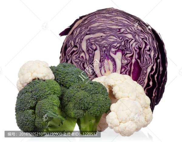 新鮮的cabbage_