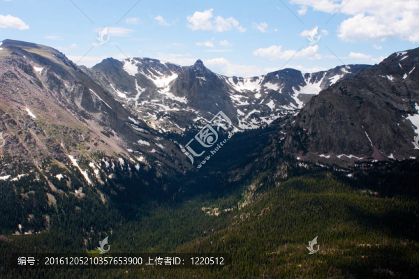 落基山脈夏季森林峽谷