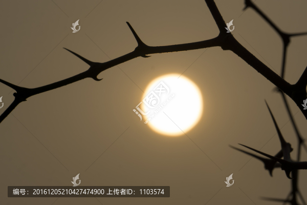 剪影,（3）