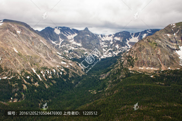 落基山脈夏季森林峽谷