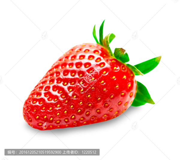草莓