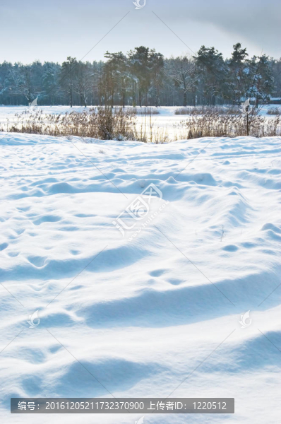 地上的雪