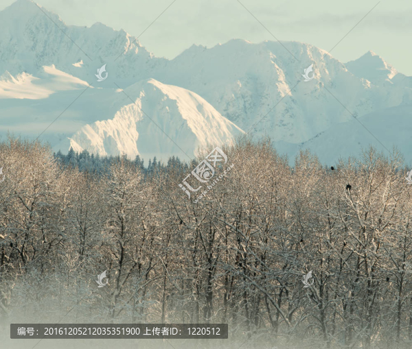一層雪下奇爾卡特谷