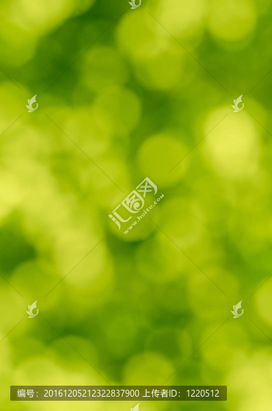 摘要綠色背景