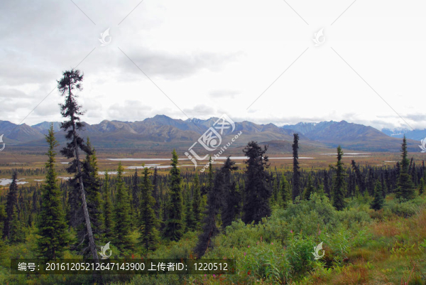 阿拉斯加山谷景觀