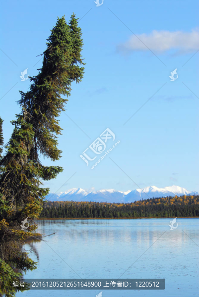 在秋天的阿拉斯加山湖景觀