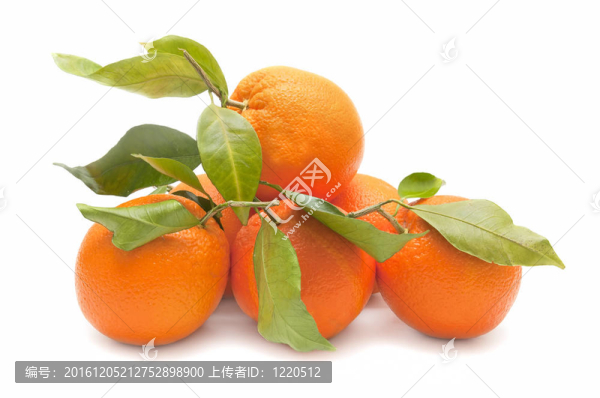 鮮橙