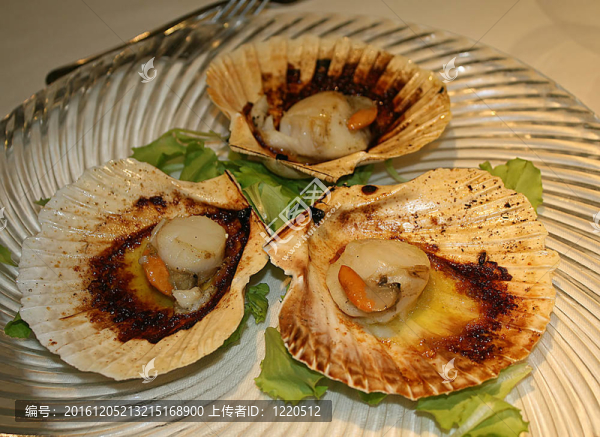 美味的扇貝搭配魚類在意大利餐廳